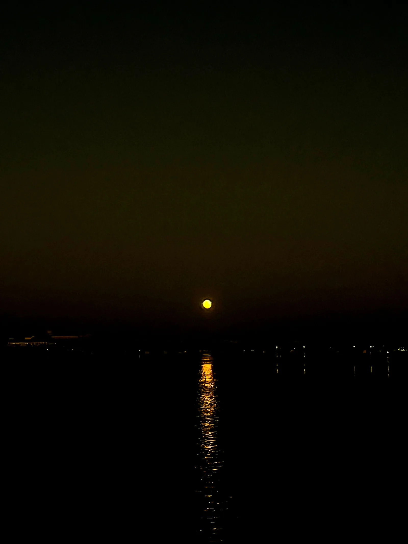 Aesthetic photography capture by Jathu Mathews